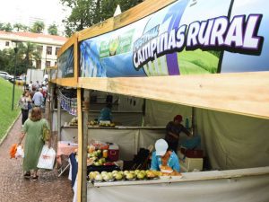 1 violeira chitãozinho e chororó