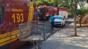 Trabalhador é atacado por enxame de abelhas em Indaiatuba; segundo caso registrado em menos de 24h