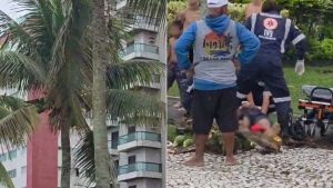 Homem escorrega de coqueiro, cai de cabeça e morre em Praia Grande; VÍDEO