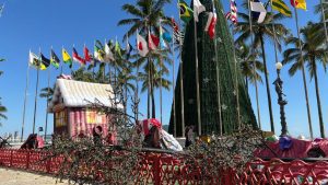 Ventania provoca quedas de árvores e danos na Baixada Santista