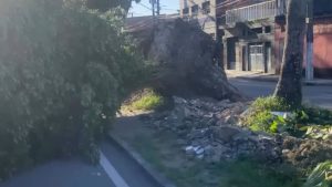 Ciclone extratropical provoca ventania e deixa rastro de danos no litoral de SP