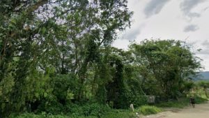 Homem é preso após estuprar enteada de 13 anos e ameaçá-la com faca