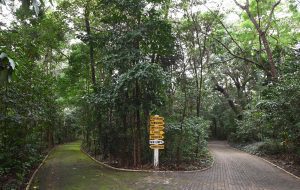 Campinas fecha sete parques da região Sul após chuvas intensas