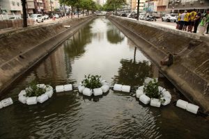 qual o maior canal de santos francisco arrais prefeitura de santos