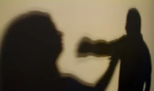 violência doméstica em Mogi Guaçu, mulheres