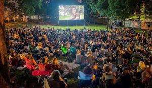 Festivais-de-cinema-1.jpg