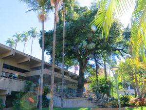 biblioteca