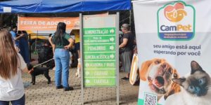 feira-adocao1-750x375-1.jpg
