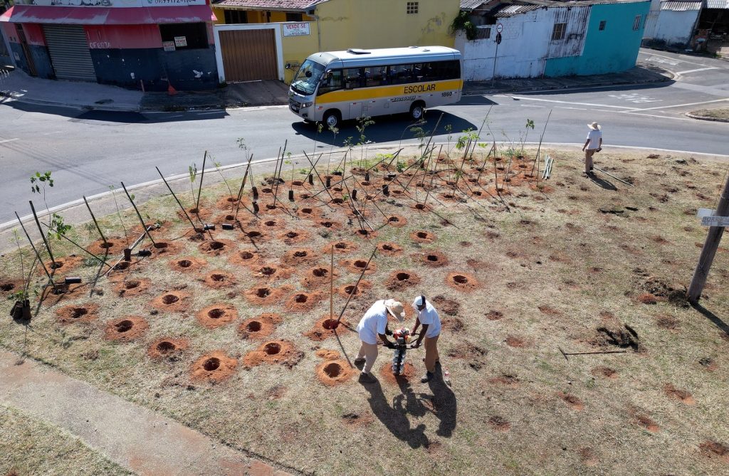 setima microfloresta