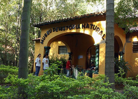 museu de hisrtoria natural