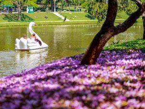 Paulínia Parque Feriado Folga Prefeitura de Paulínia