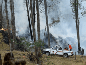 Campinas alerta incêndios
