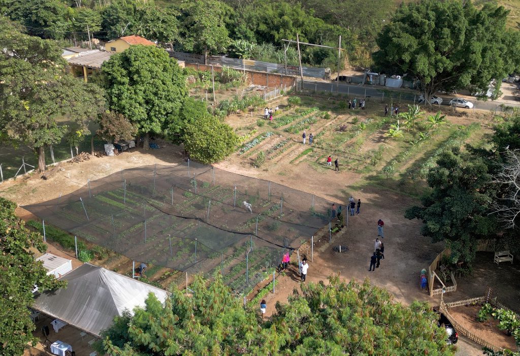 horta comunitária campinas