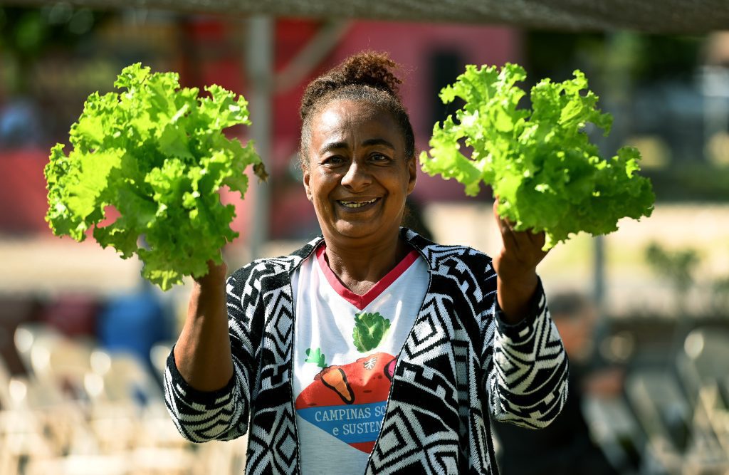 horta comunitária campinas
