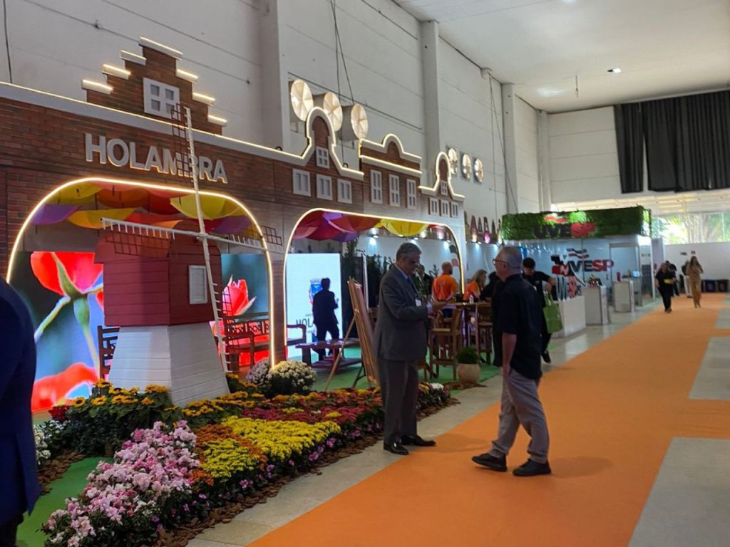 blank