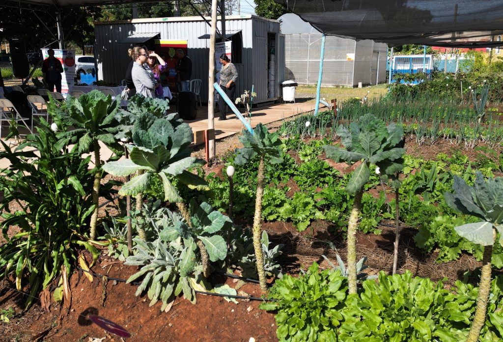 horta comunitária prêmio