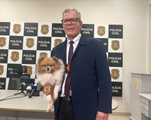 Cachorro furtado foi recuperado pela Polícia. Foto: Bianca Midlej/VTV