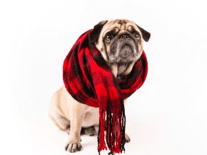 previsão do tempo em Bragança Paulista