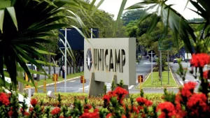 vestibular da Unicamp aborda desde animes até Rousseau