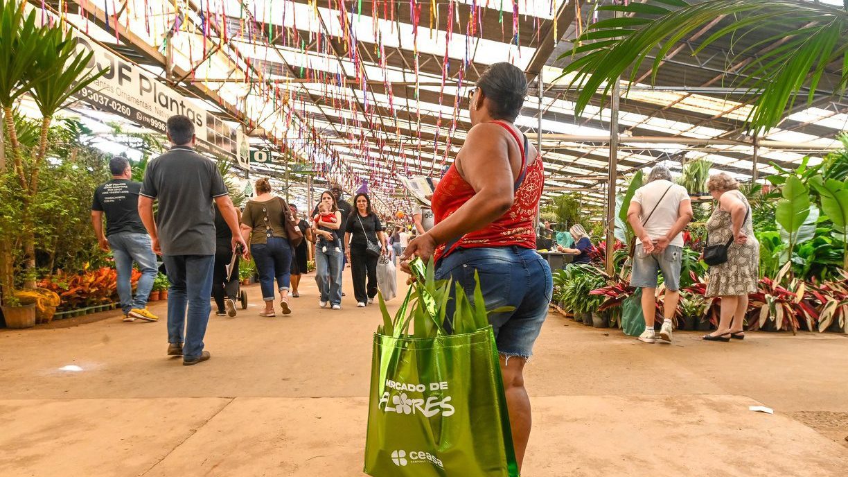 Mercado de flores prevê aumento de até 40% nas vendas para o Dia de Finados