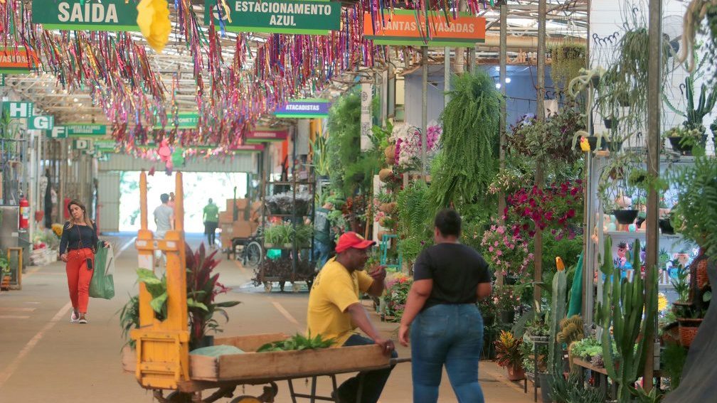 Mercado de flores prevê aumento de até 40% nas vendas para o Dia de Finados