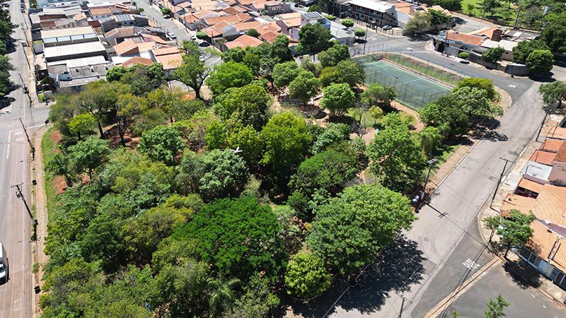 Confira o que fazer em Campinas e região neste fim de semana