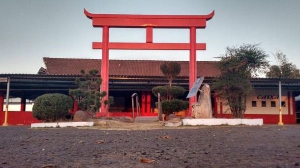 Confira o que fazer em Campinas e região neste fim de semana