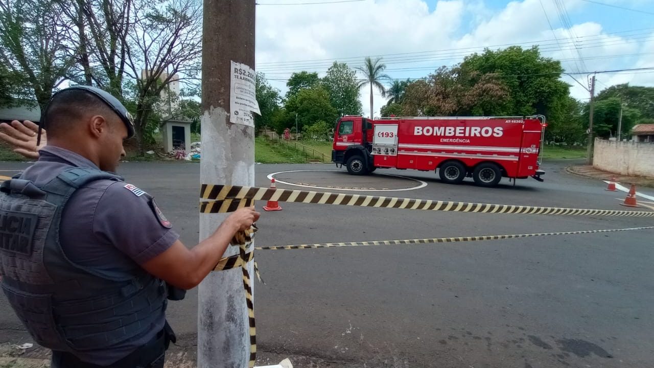 Ataque de abelhas mata dois cães e deixa ao menos sete feridos em Santa Bárbara d'Oeste