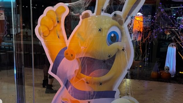 Veja o que fazer em Campinas e região: programação tem festival de samba, halloween e mais