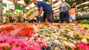 Mercado de flores prevê aumento de até 40% nas vendas para o Dia de Finados