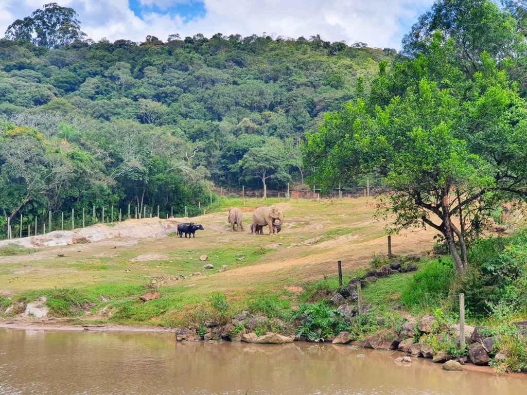 zooparque Itatiba