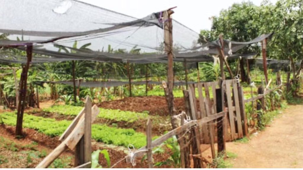 Veja como é o Centro de Ressocialização para onde Robinho foi transferido