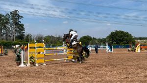 Competição em equipe une talento individual à força coletiva no Festival Nacional do Cavalo BH
