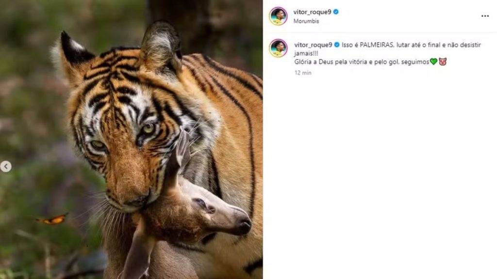 jogador fez um post homofóbico em provocação ao São Paulo