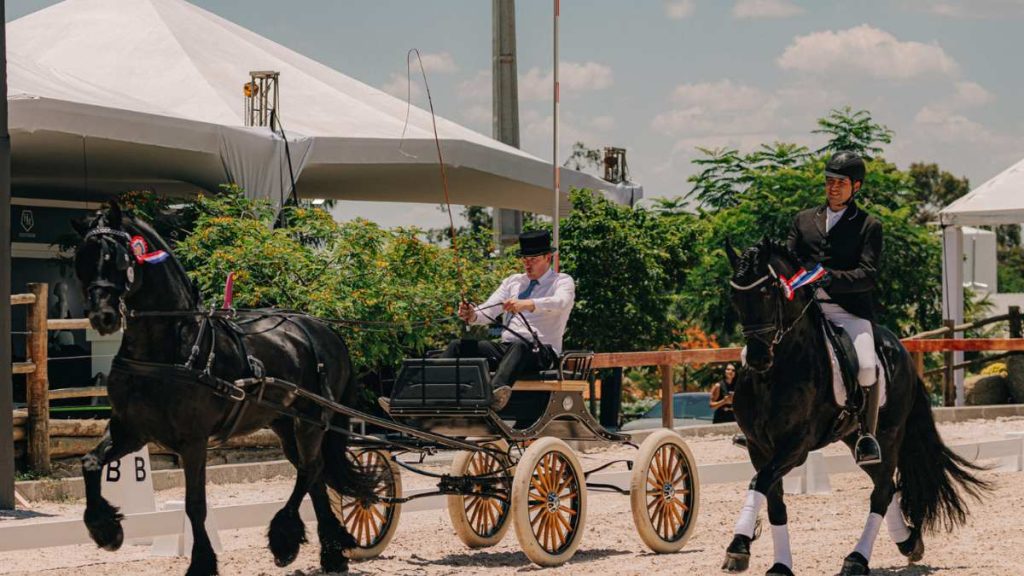 2ª KEURING DA RAÇA FRIESIAN