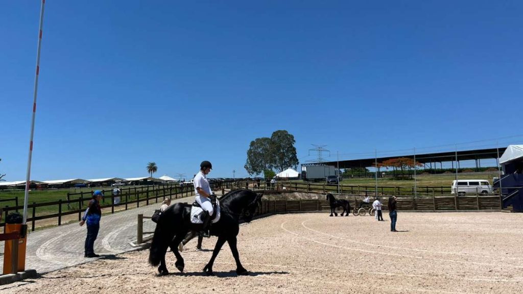 Festival Nacional de Cavalo BH