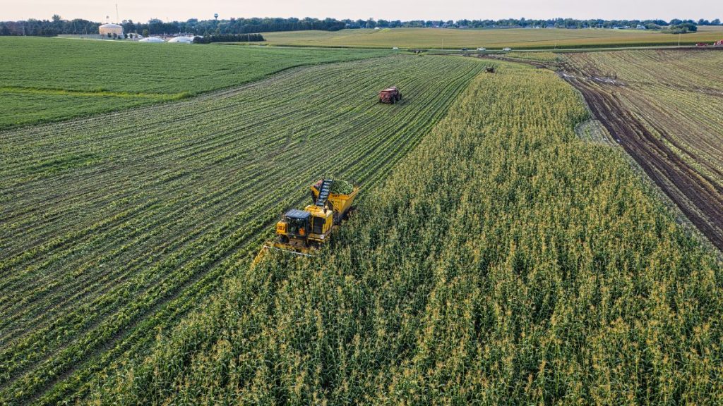 Entre desafios e oportunidades: como o agro brasileiro pode crescer mesmo sob pressão