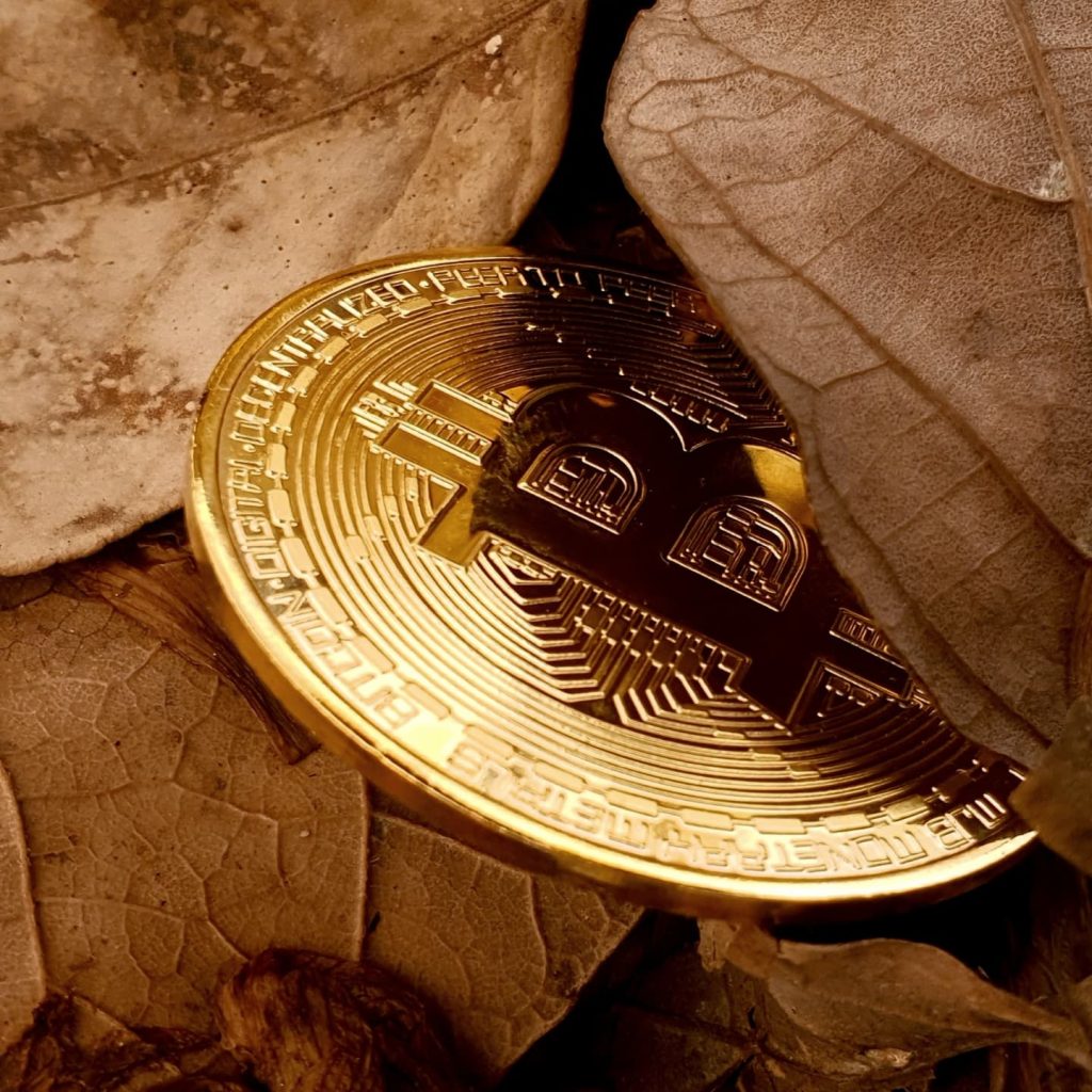 Créditos de carbono podem ser negociados como criptoativos