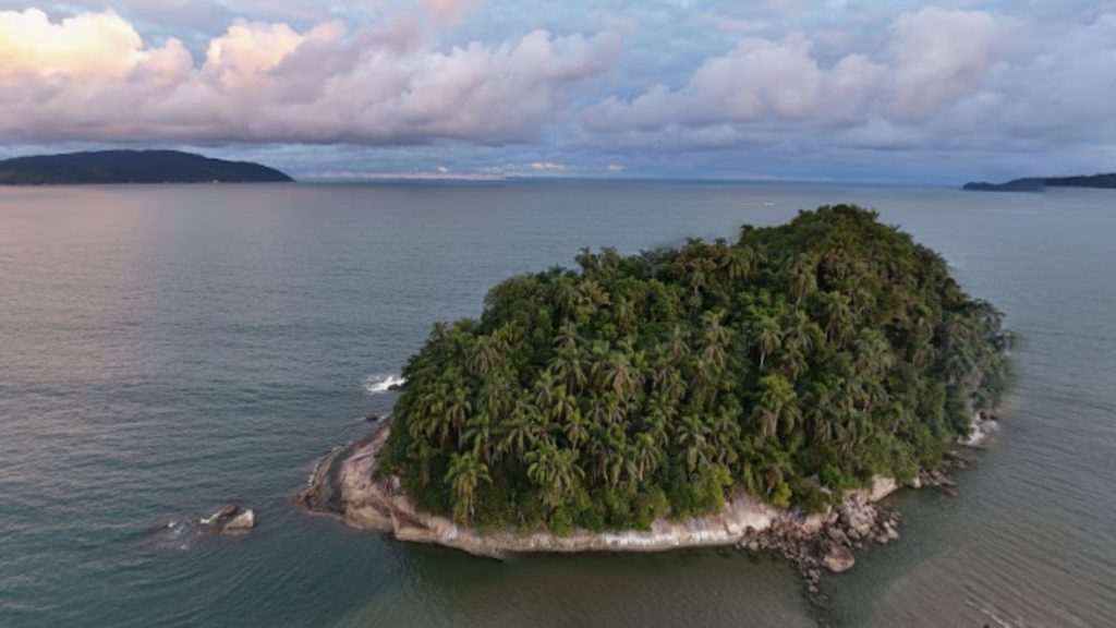 Força-tarefa desmonta acampamento irregular na Ilha Urubuqueçaba, em Santos