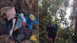 Acampamento ilegal é removido da Ilha Urubuqueçaba, área de preservação em Santos