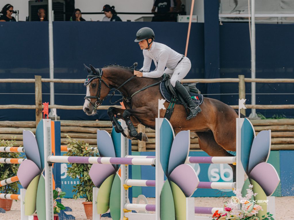 Cavalo brasileiro de hipismo