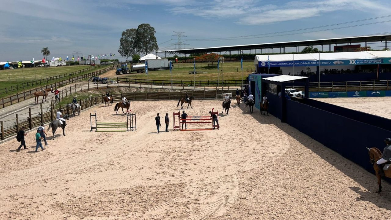 Brasileiro de Hipismo