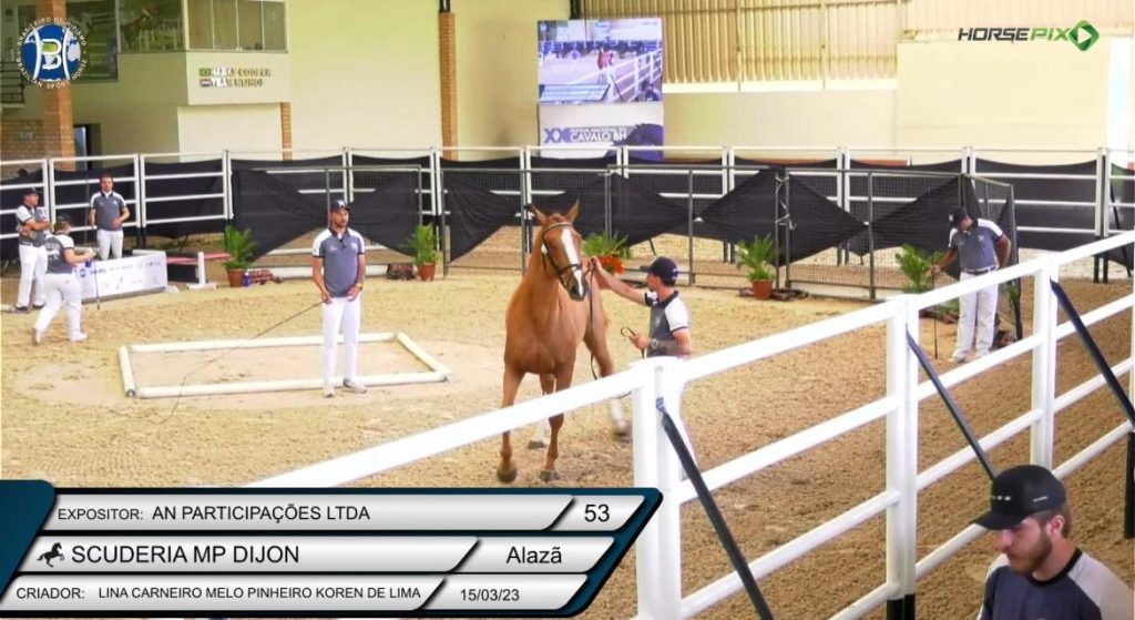 Festival Nacional do Cavalo BH encerra 20ª edição com sucesso em Campinas