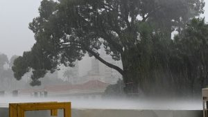 Chuva acompanhada de granizo causa queda de 15 árvores em Campinas