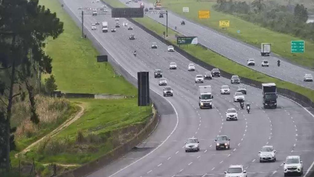 criação terceira pista imigrantes