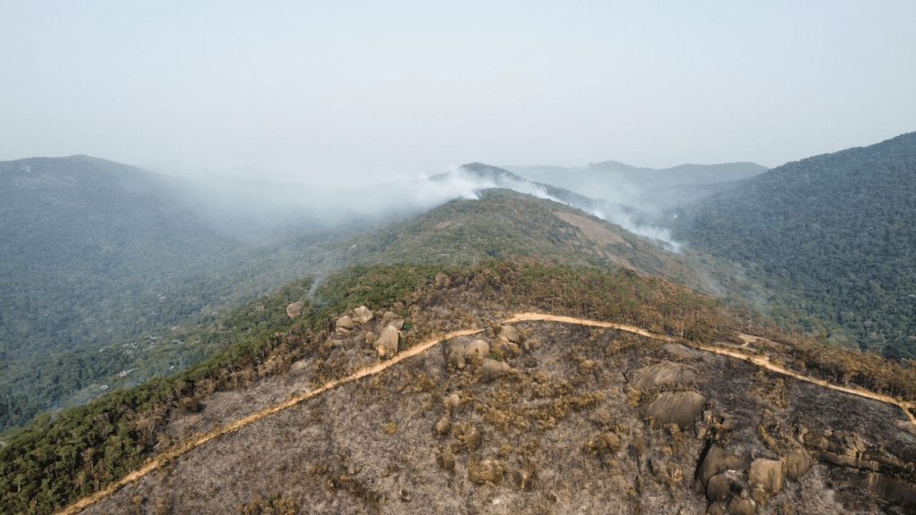 Incêndio florestal no Parque Estadual do Itapetinga, em setembro de 2024 (Foto: Ian Iordanu/SIMBiOSE)