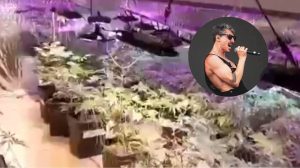 Gustavo Fildzz, vocalista da banda Aliados, é condenado por tráfico privilegiado no litoral de SP