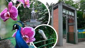 programação da baixada santista