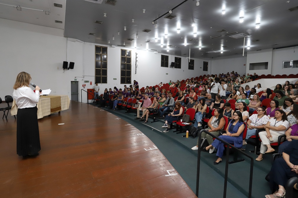 Violência contra mulheres em Campinas