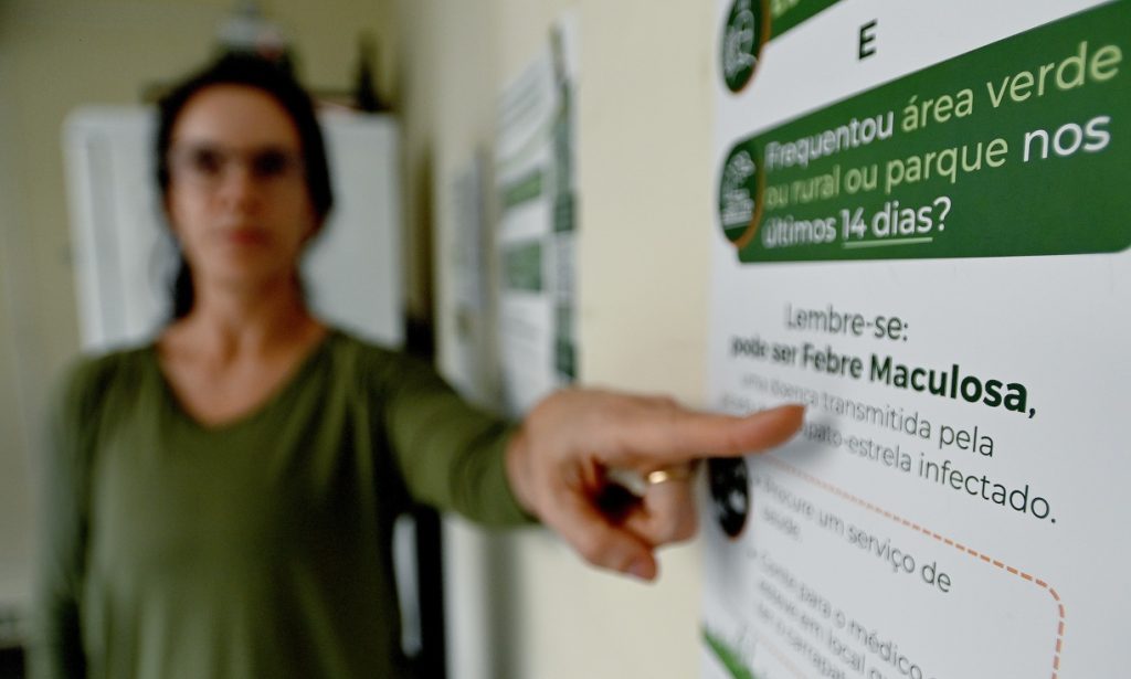 febre maculosa campinas